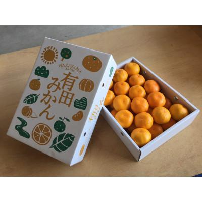 ふるさと納税 印南町 [2026年11月上旬より順次発送] 有田みかん 化粧箱 約5kg Mサイズ [まごころ手選別]