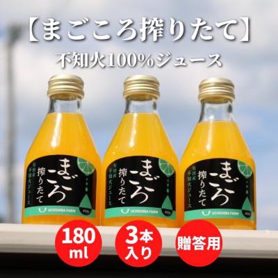 ふるさと納税 印南町 [まごころ搾りたて]不知火 100%ジュース 180ml 3本 贈答用