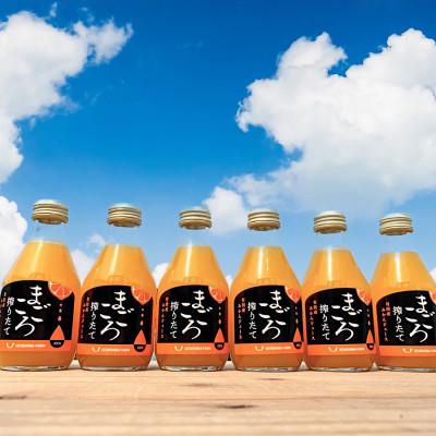 ふるさと納税 印南町 [まごころ搾りたて]有田みかんジュース100% 180ml 6本