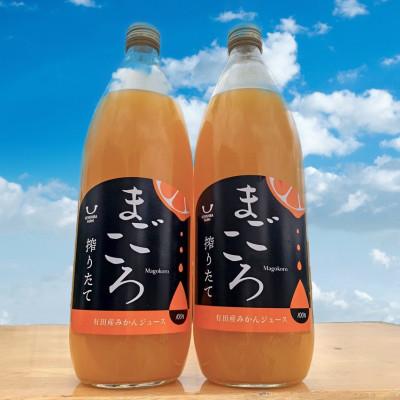 ふるさと納税 印南町 [まごころ]有田みかんジュース100% 1000ml 2本セット 化粧箱入り