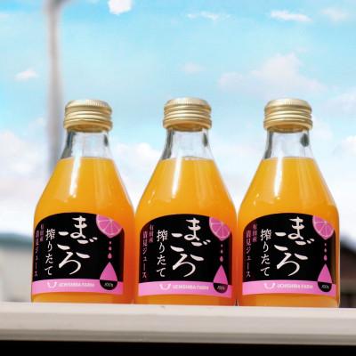 ふるさと納税 印南町 [まごころ搾りたて]清見 100%ジュース 180ml 3本 贈答用