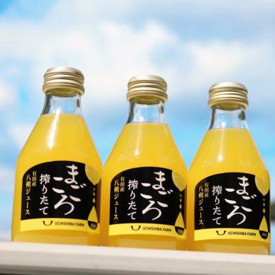 ふるさと納税 印南町 [まごころ搾りたて]八朔 100%ジュース 180ml 3本 贈答用