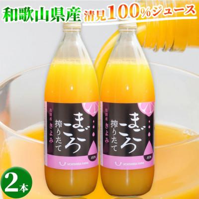 ふるさと納税 印南町 [まごころ搾りたて]清見 100%ジュース 1000ml 2本