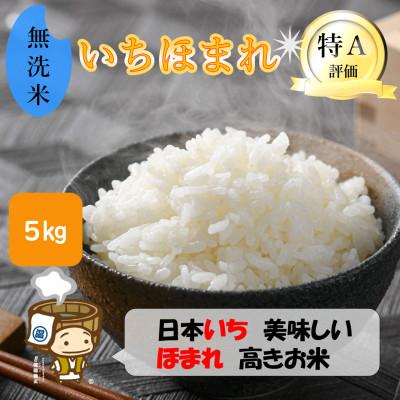 ふるさと納税 あわら市 [令和7年産]いちほまれ 無洗米 5kg×1袋