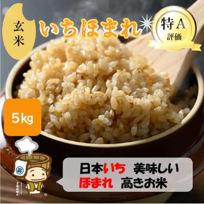 ふるさと納税 あわら市 [令和7年産]いちほまれ 玄米 5kg×1袋[新鮮な高品質米をお届け!]