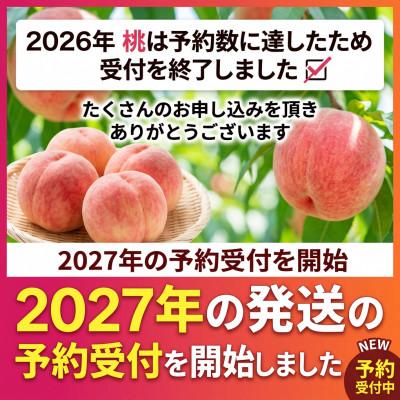 ふるさと納税 山梨市 【2027年発送　先行受付】【訳あり】桃5〜9玉2kg以上 |  | 01