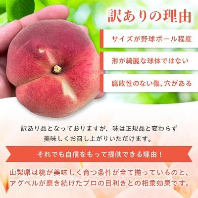 ふるさと納税 山梨市 【2027年発送　先行受付】【訳あり】桃5〜9玉2kg以上 |  | 03