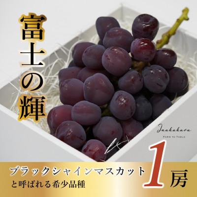 ふるさと納税 笛吹市 [山梨県笛吹市]Inakakara 「富士の輝」1房