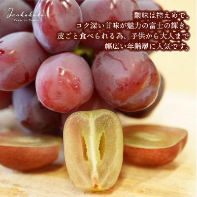 ふるさと納税 笛吹市 【山梨県笛吹市】Inakakara 「富士の輝」1房 600~650gの画像