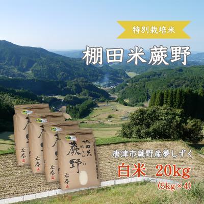 ふるさと納税 唐津市 【令和8年産】特別栽培米「棚田米蕨野」20kg(5kg
