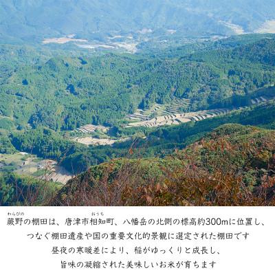 ふるさと納税 唐津市 【令和8年産】特別栽培米「棚田米蕨野」20kg(5kg