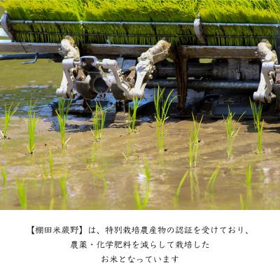 ふるさと納税 唐津市 【令和8年産】特別栽培米「棚田米蕨野」20kg(5kg