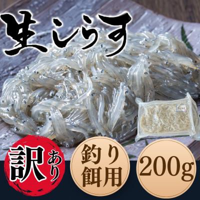 ふるさと納税 南知多町 [船釣りにも最適]知多半島産 生しらす(釣り餌用)200g×1袋|岬だより