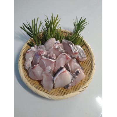 ふるさと納税 対馬市 [対馬産]天然マハタ(2〜3人前)500g