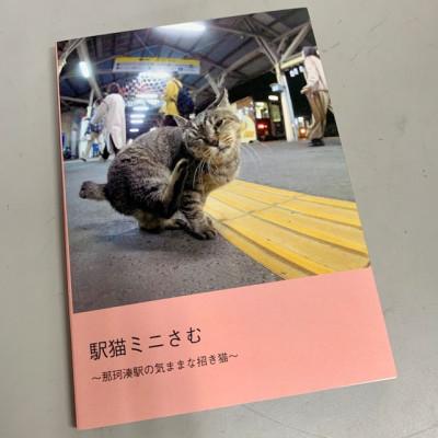 ふるさと納税 ひたちなか市 ひたちなか海浜鉄道「駅猫ミニさむ写真集」