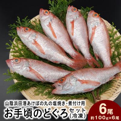 ふるさと納税 浜田市 山陰浜田港あけぼの丸の塩焼き・煮付け用お手頃のどぐろセット