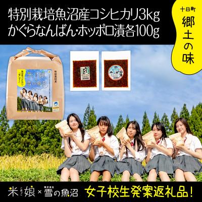 ふるさと納税 十日町市 [農家×女子高生]県認証特栽魚沼コシヒカリ(精米)3kgとかぐらなんばん・ホッポロ漬 各100g
