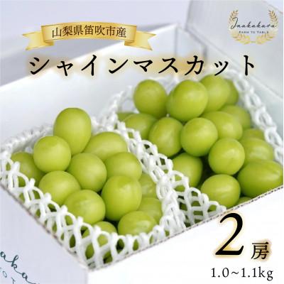 ふるさと納税 笛吹市 Inakakara厳選! 笛吹市産シャインマスカット2房(約1.0〜1.1kg)