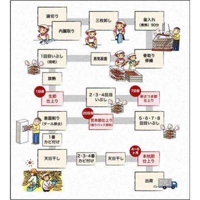 ふるさと納税 枕崎市 【訳あり】ふぞろいの枕崎産鰹節「新さつま節」「本枯節」合計約900g　A3-120 |  | 03