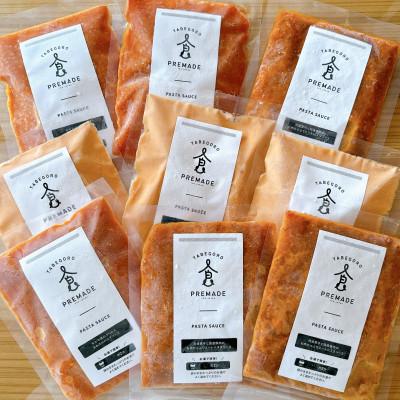 パスタソース カレー 詰め合わせ 大量セット まとめ売り アミューズメント ふるさと納税 藍住町 お家で簡単!具材が入った本格パスタソースの3種