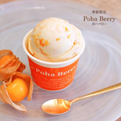 ふるさと納税 藤沢市 Hilo Homemade Ice Cream 手作りプレミアムアイス