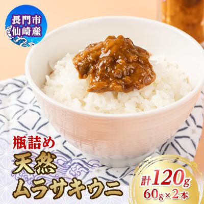 ふるさと納税 長門市 瓶詰めウニ 60g×2本 合計120g (12026)