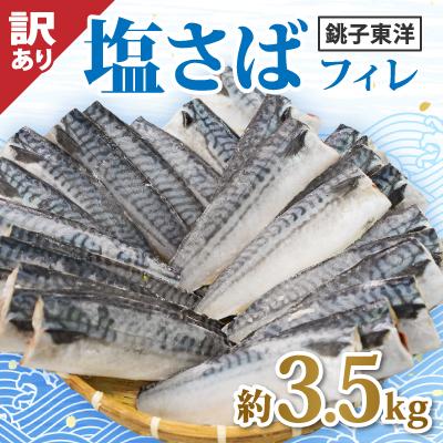 ふるさと納税 銚子市 【訳あり】塩鯖(冷凍) 約3.5kg　銚子東洋のフィレ規格外　 | 