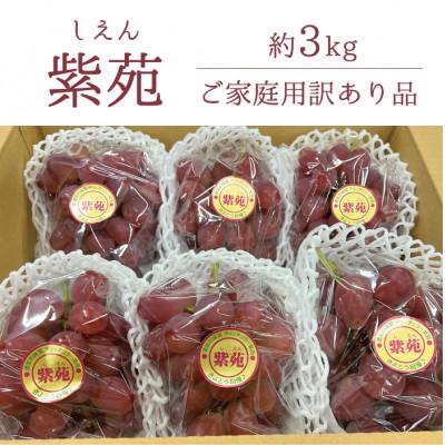 ふるさと納税 真庭市 [きよとうファーム][訳あり]紫苑(しえん) ご家庭用/約3kg(岡山県産)