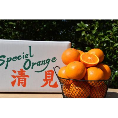 ふるさと納税 那智勝浦町 [2027年3月上旬より順次発送]和歌山県産 清見 約10kg 秀品(サイズ混合)[まごころ手選別]