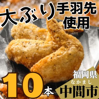 ふるさと納税 中間市 [福岡県]大ぶり手羽先 10本 プッリップリのジューシー手羽先