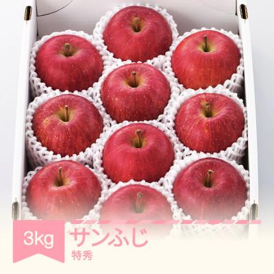 ふるさと納税 村山市 2026年産 山形県産りんご サンふじ 特秀品 約3kg mm-risft3