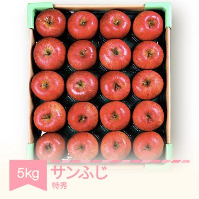 ふるさと納税 村山市 2026年産 山形県産りんご サンふじ 特秀品 約5kg mm-risft5