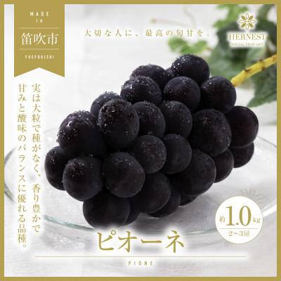 ふるさと納税 笛吹市 山梨県笛吹市産 旬の採れたてピオーネ 約1kg 2〜3房