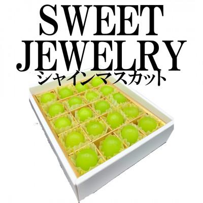 ふるさと納税 笛吹市 [2026年発送]山梨県笛吹市産 シャインマスカット 〜SWEET JEWELRY〜 20粒