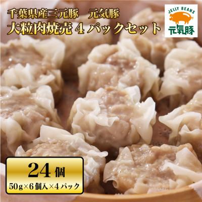 ふるさと納税 多古町 元気豚 大粒肉焼売 4パックセット