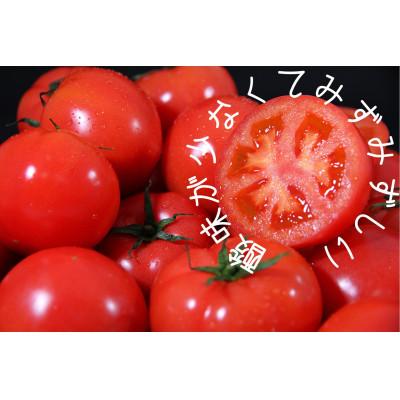 ふるさと納税 玉名市 【特別栽培農産物】受賞歴3回!訳ありソムリエトマト1.8〜2.8kg(8玉〜16玉)×2箱 |  | 03