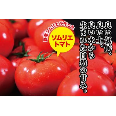 ふるさと納税 玉名市 【特別栽培農産物】受賞歴3回!訳ありソムリエトマト4.5〜5.5kg(18玉〜36玉)×2箱 |  | 02