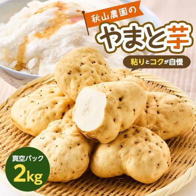 ふるさと納税 多古町 やまと芋の町 多古から「秋山農園のやまと芋」2kg