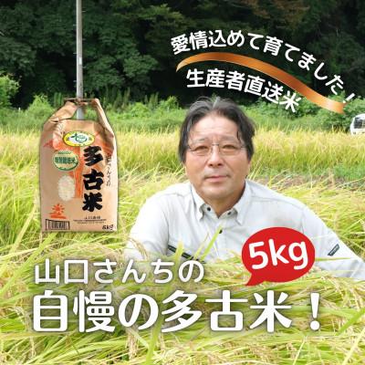 ふるさと納税 多古町 山口さんちの[令和7年産]多古米コシヒカリ(精米)5kg