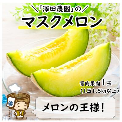ふるさと納税 あわら市 [先行受付]澤田農園の青肉マスクメロン(1.5kg以上 1玉入)