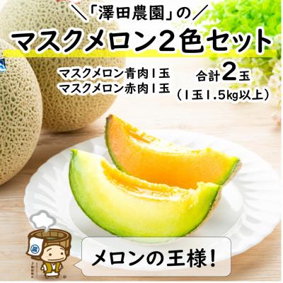 ふるさと納税 あわら市 [先行受付]澤田農園のマスクメロン 青肉/赤肉 2色セット(1.5kg以上 2玉入)食べ比べお楽しみ