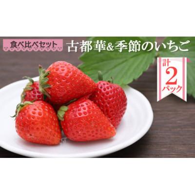ふるさと納税 五條市 「古都華」&amp;「季節のいちご」食べ比べセット(1パックずつ) 計2パック
