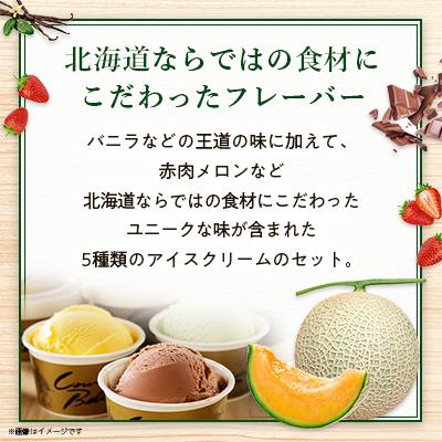 ふるさと納税 大樹町 新鮮濃厚ミルク　カウベルアイス5種21個セット_3