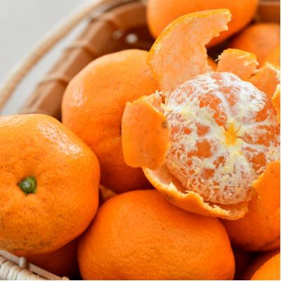 ふるさと納税 広川町 [和歌山広川町産] 有田みかん 5Kg