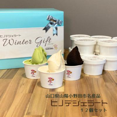 ふるさと納税 山陽小野田市 ヒノデジェラート プレミアムフレーバー入り 12個セット