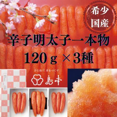 ふるさと納税 太宰府市 [博多辛子明太子の島本]国産卵使用・辛子明太子一本物120g×3種(太宰府市)