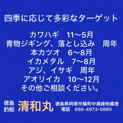 ふるさと納税 阿南市 徳島清和丸 阿南沖釣り船 割引チケット |  | 02