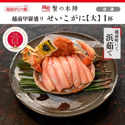 ふるさと納税 越前町 越前甲羅盛り[せいこがに 大]