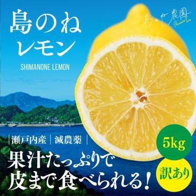 ふるさと納税 今治市 [訳あり]先行受付 島のねレモン 5kg [K001610]
