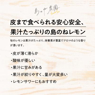 ふるさと納税 今治市 【訳あり】先行受付 島のねレモン 5kg 【K001610】 |  | 01
